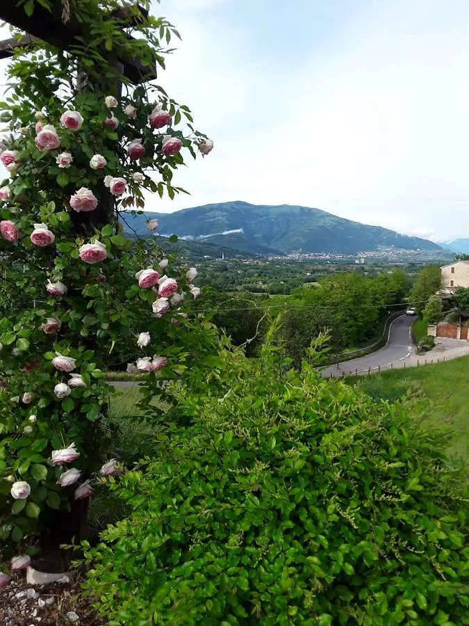 Locanda Bellavista Cavaso Del Tomba